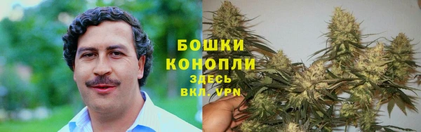 амф Каменногорск
