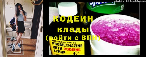 амф Каменногорск